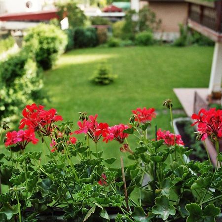 Ferienwohnungen Im Herzen Des Pfaelzerwaldes Elmstein ภายนอก รูปภาพ