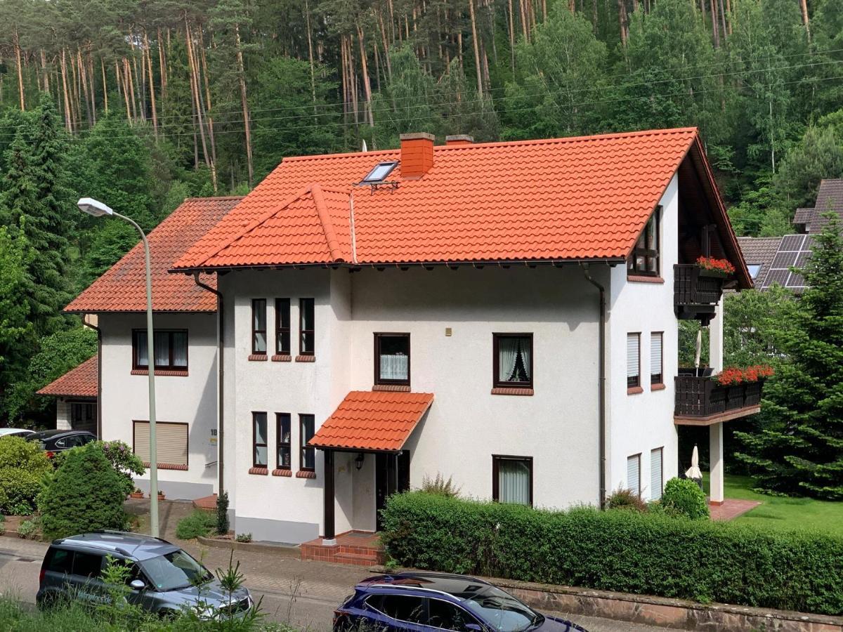 Ferienwohnungen Im Herzen Des Pfaelzerwaldes Elmstein ภายนอก รูปภาพ