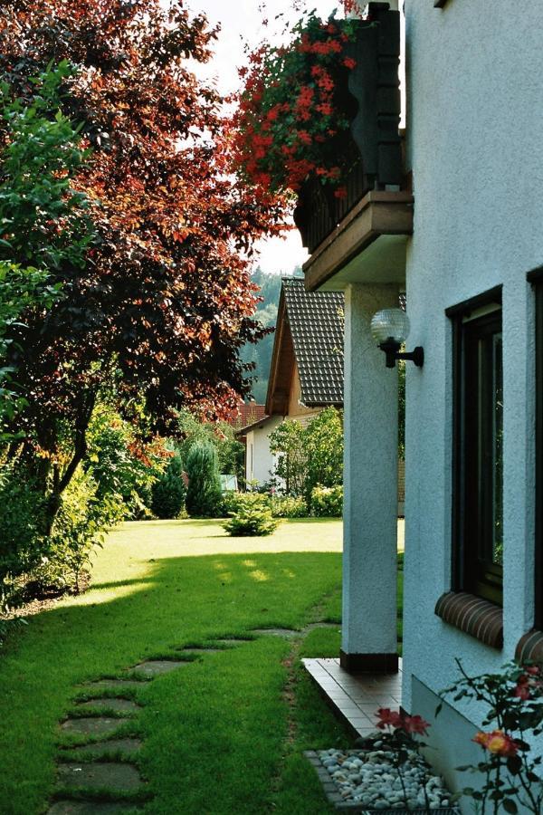 Ferienwohnungen Im Herzen Des Pfaelzerwaldes Elmstein ภายนอก รูปภาพ