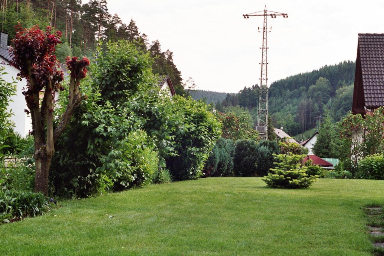 Ferienwohnungen Im Herzen Des Pfaelzerwaldes Elmstein ภายนอก รูปภาพ