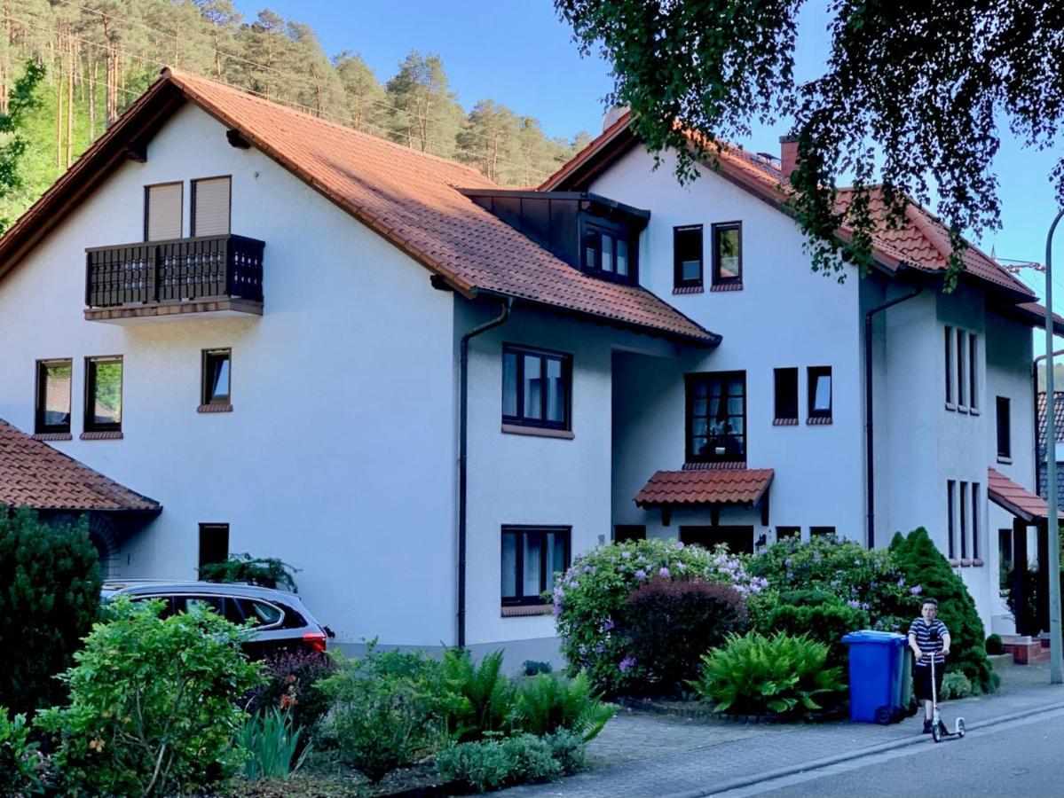 Ferienwohnungen Im Herzen Des Pfaelzerwaldes Elmstein ภายนอก รูปภาพ