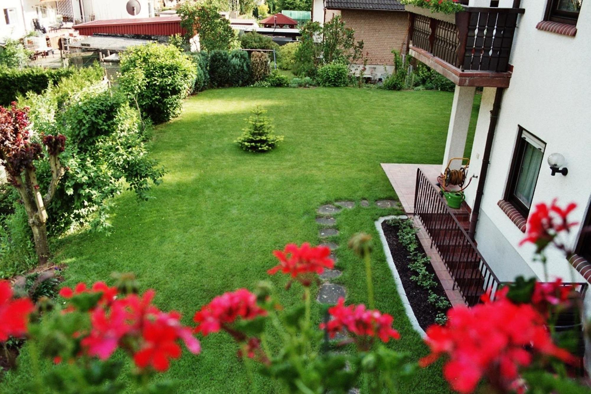 Ferienwohnungen Im Herzen Des Pfaelzerwaldes Elmstein ห้อง รูปภาพ